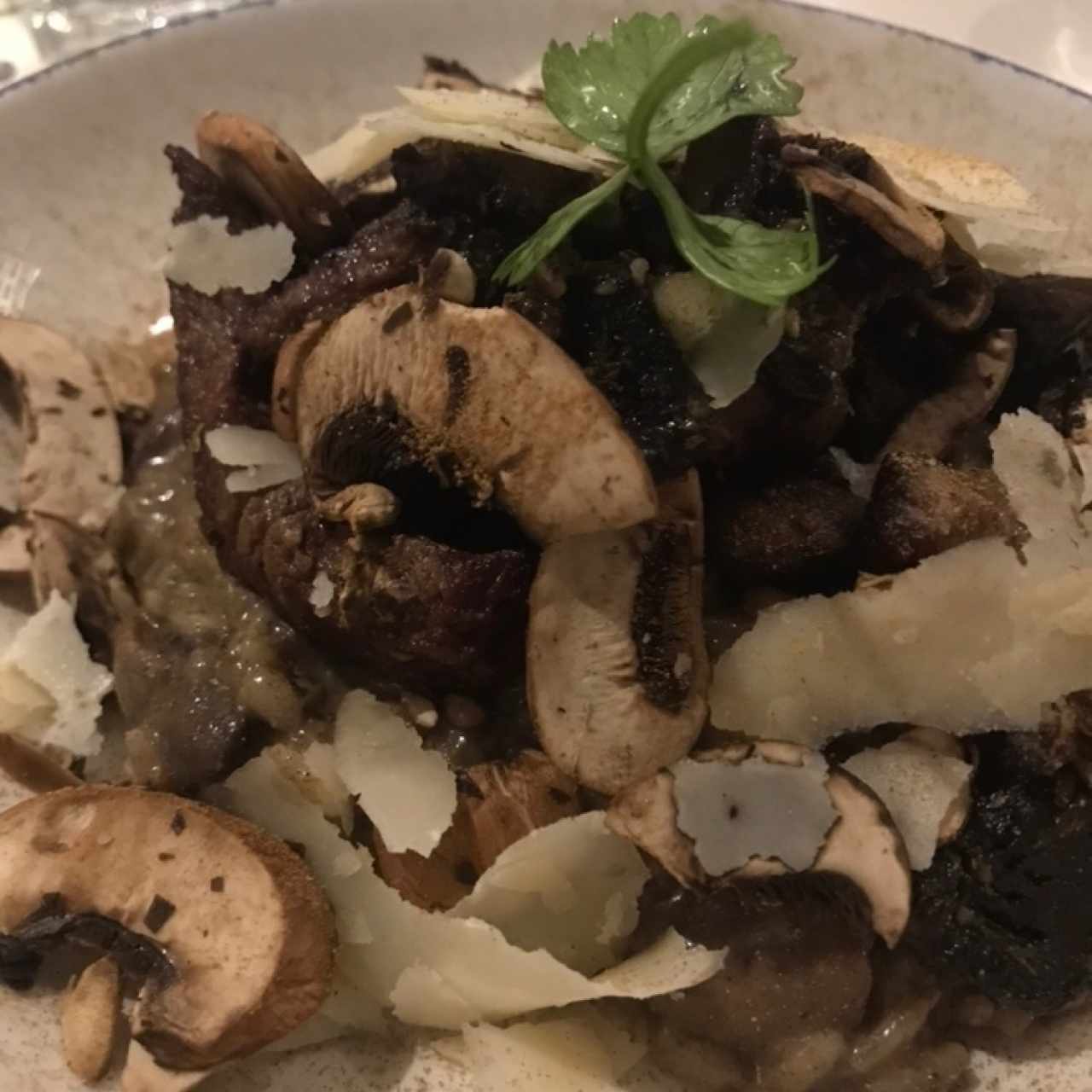 Risottos - Risotto Funghi