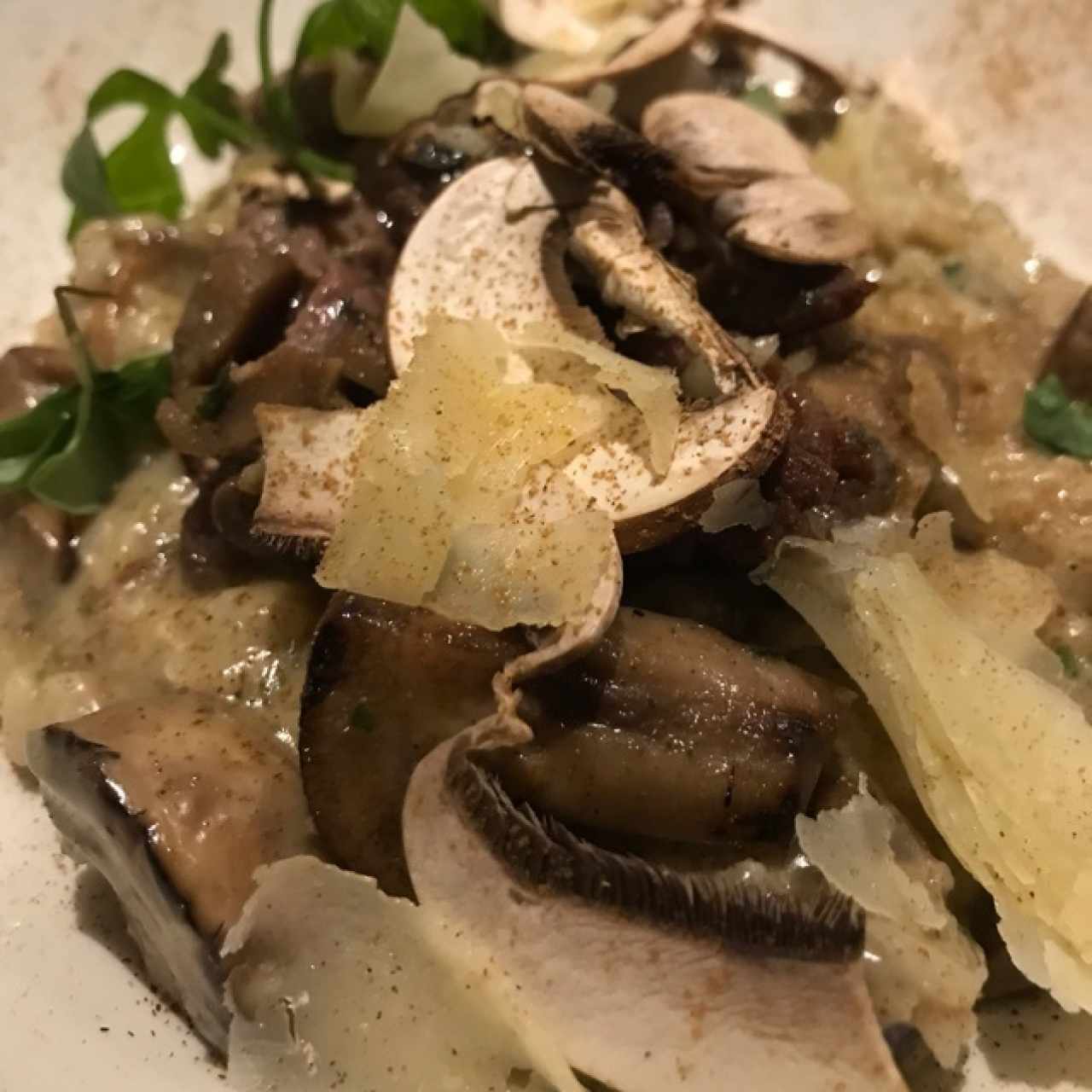 risotto de hongos