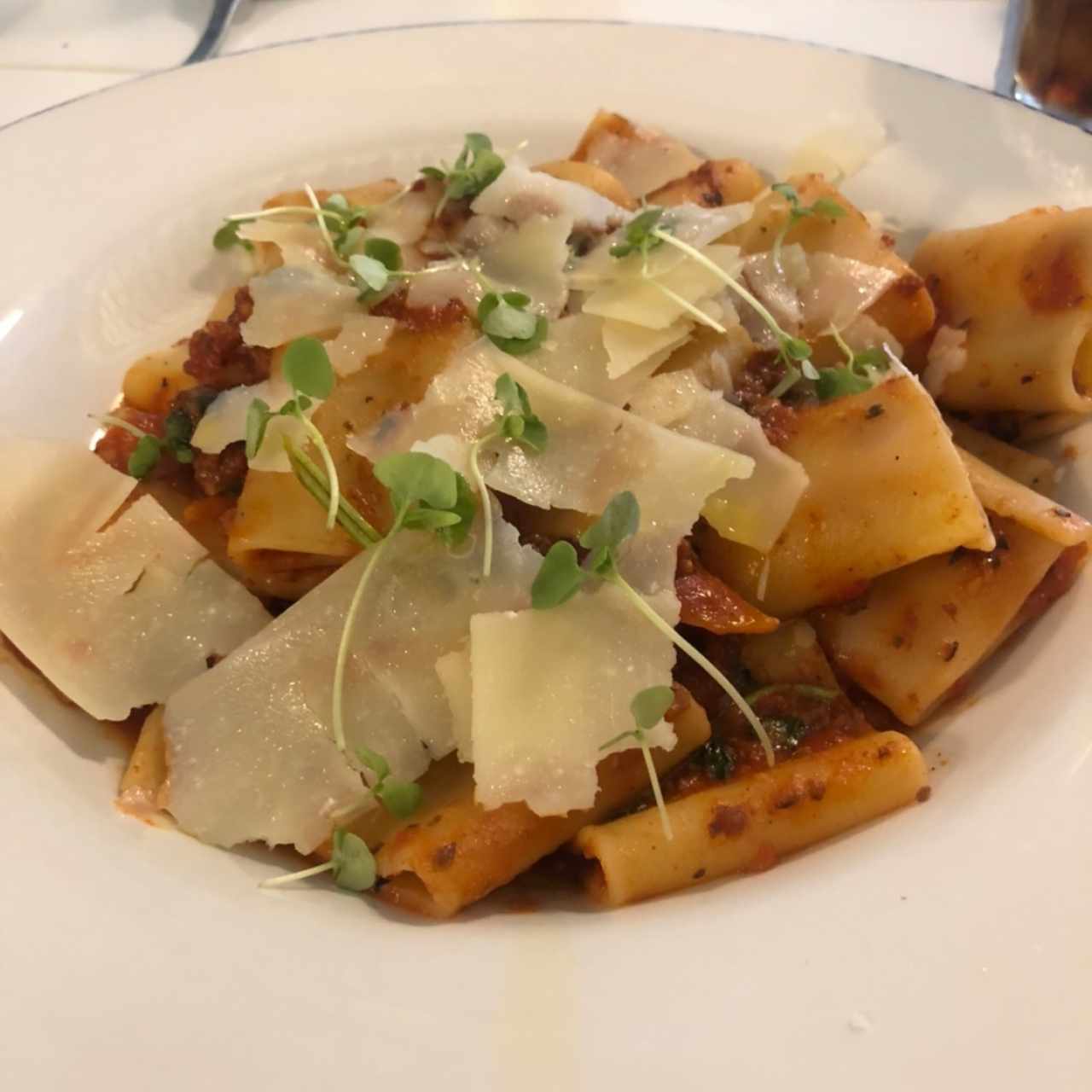 Pastas - Paccheri Alla Bolognesa