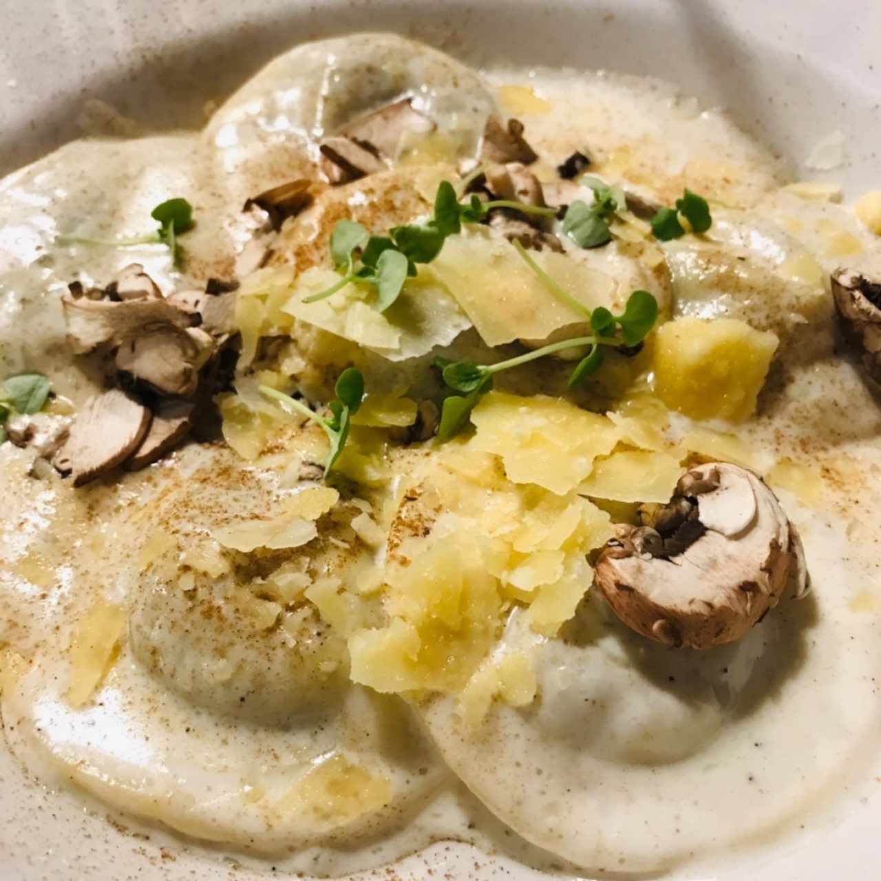 Pastas - Tortelloni Fungui Porcini: ¡es una delicia! Aquí no querrán dejar ni rastro de salsa en el plato. 