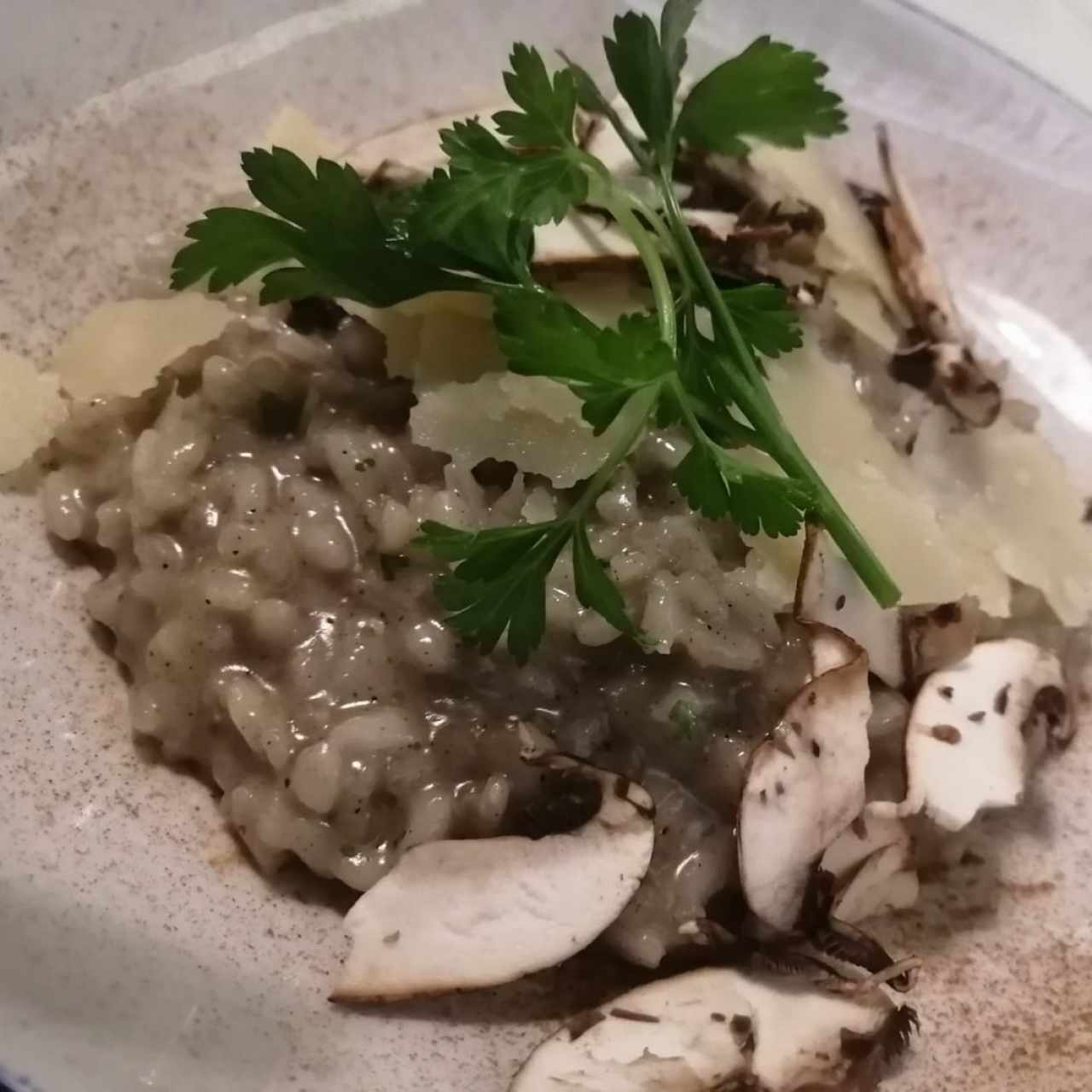 Risottos - Risotto Funghi