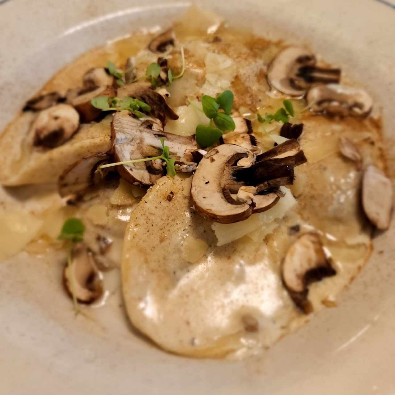 Pastas - Tortelloni Fungui Porcini