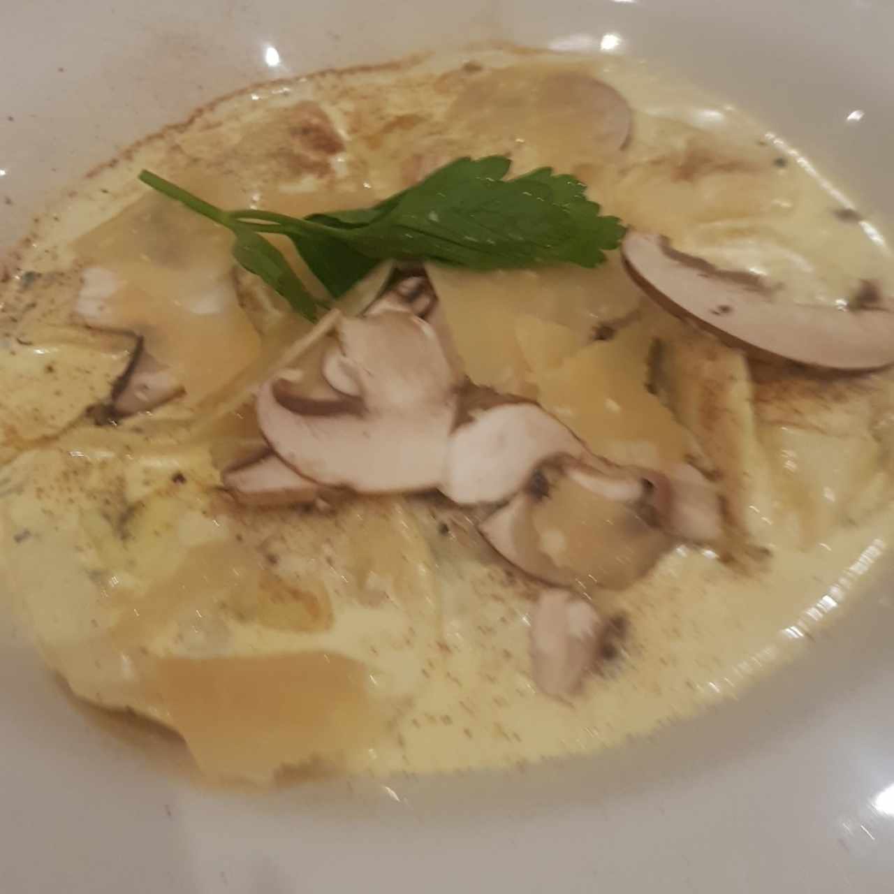 Pastas - Tortelloni Fungui Porcini