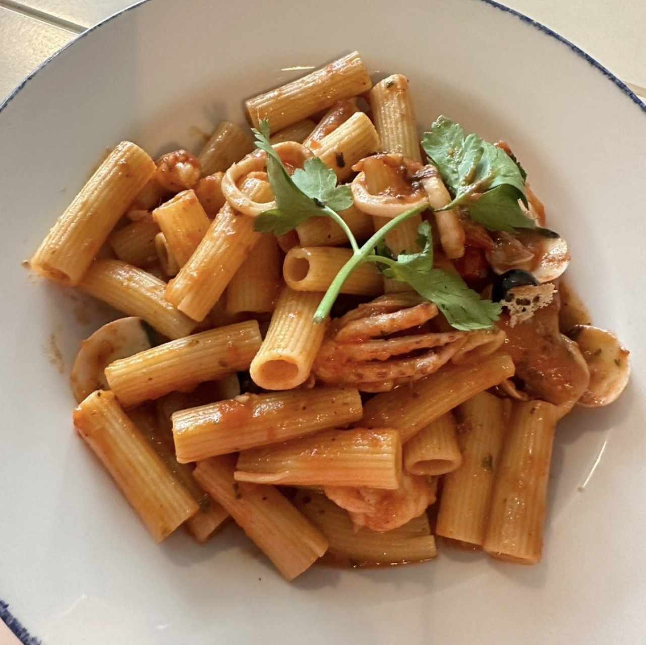 Pasta corta en salsa roja