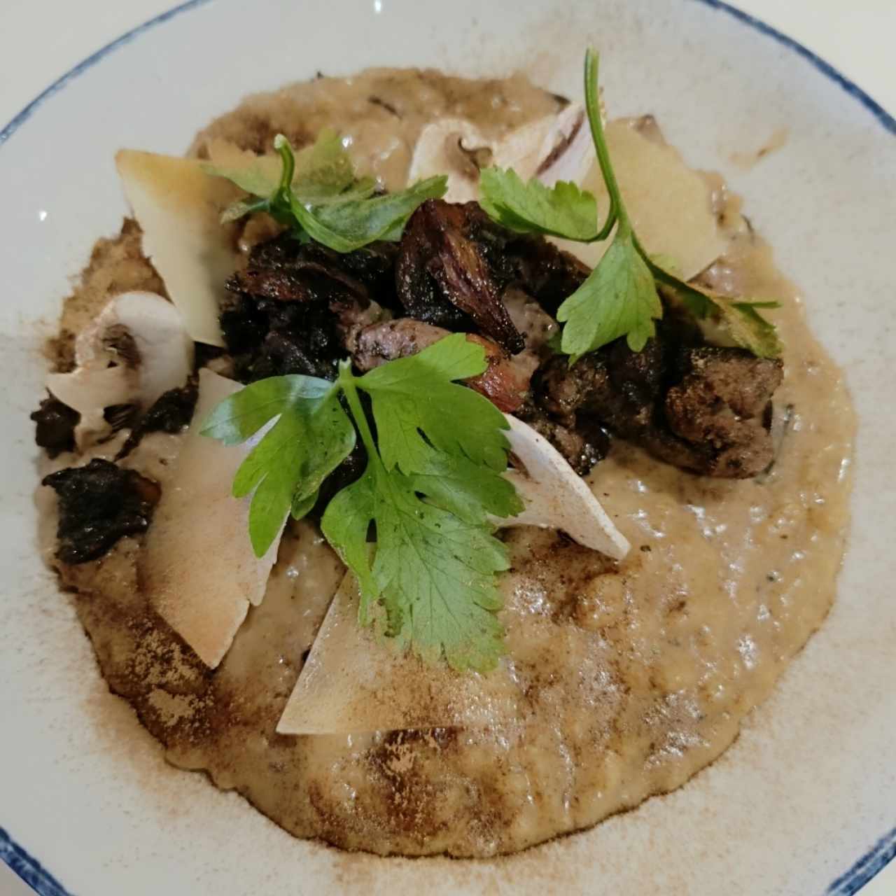 Risottos - Risotto Funghi