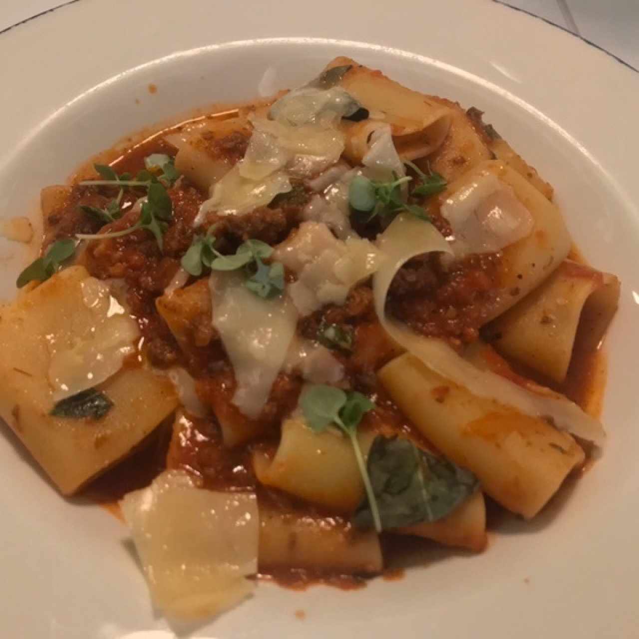 paccheri alla bolognese