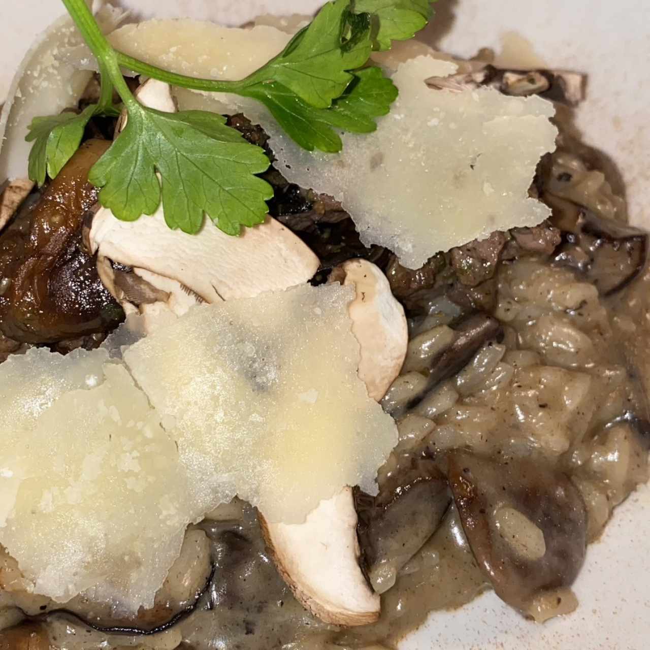 Risottos - Risotto Funghi