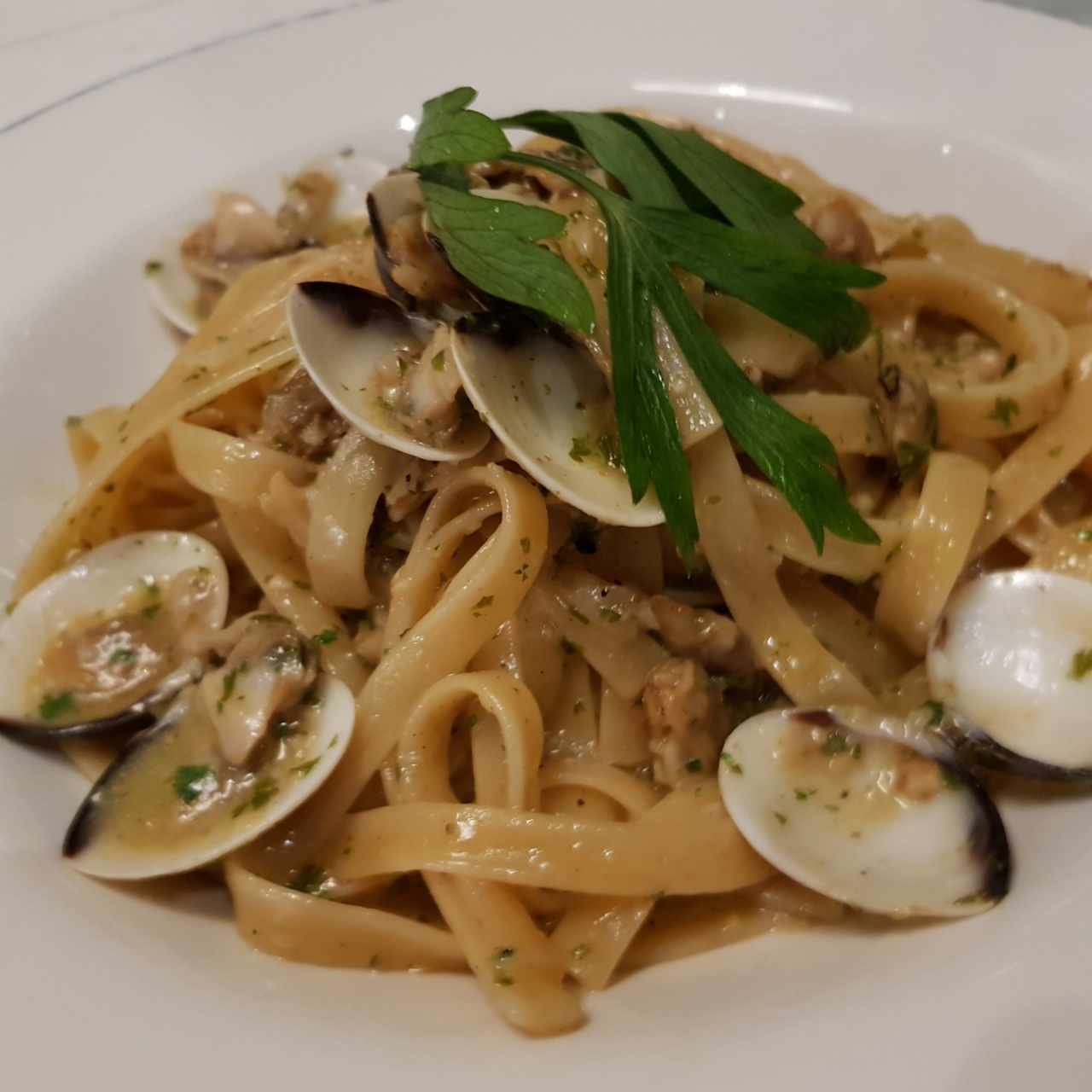 Fetuccine Vongole