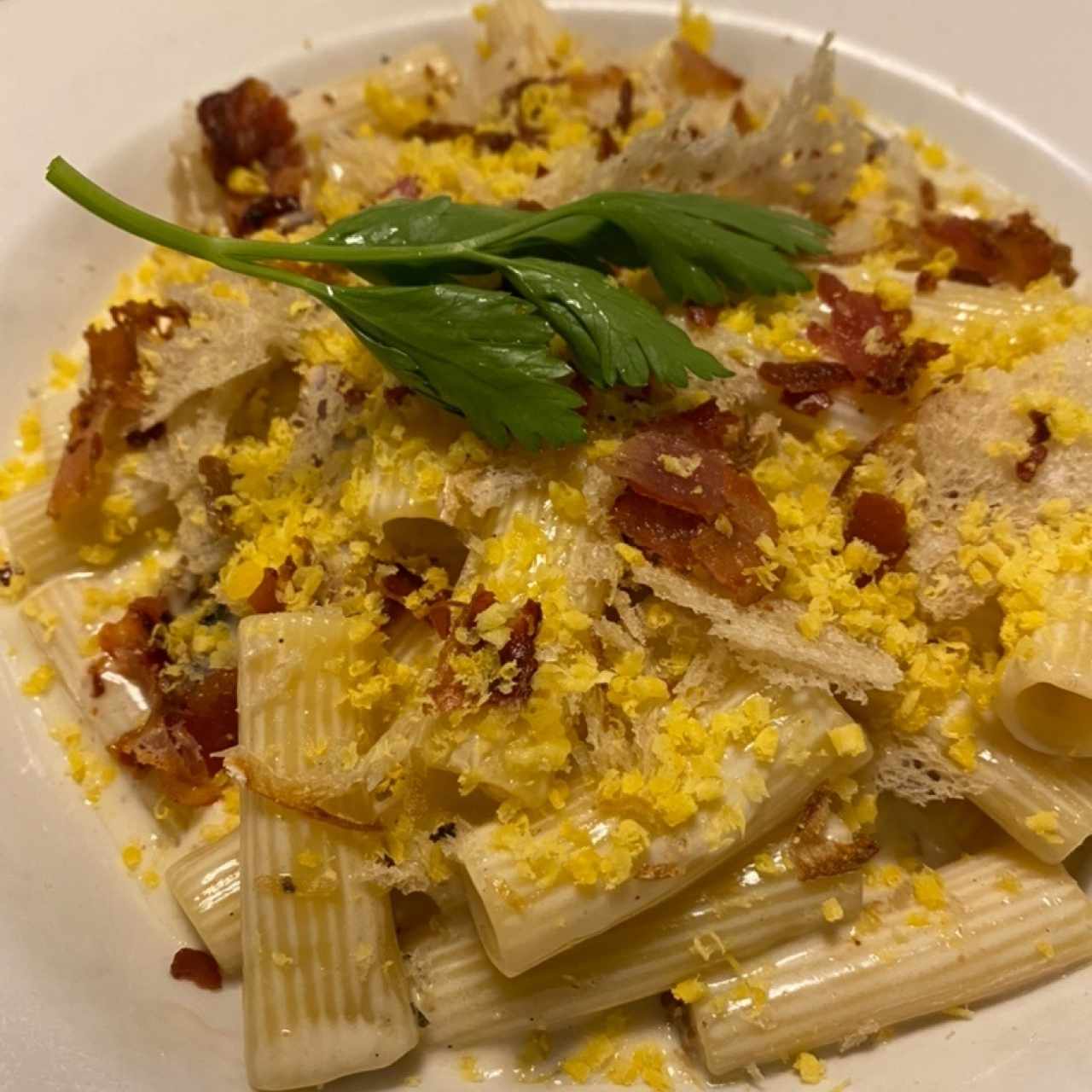 Rigatoni Ni Carbonara Ni Alfredo