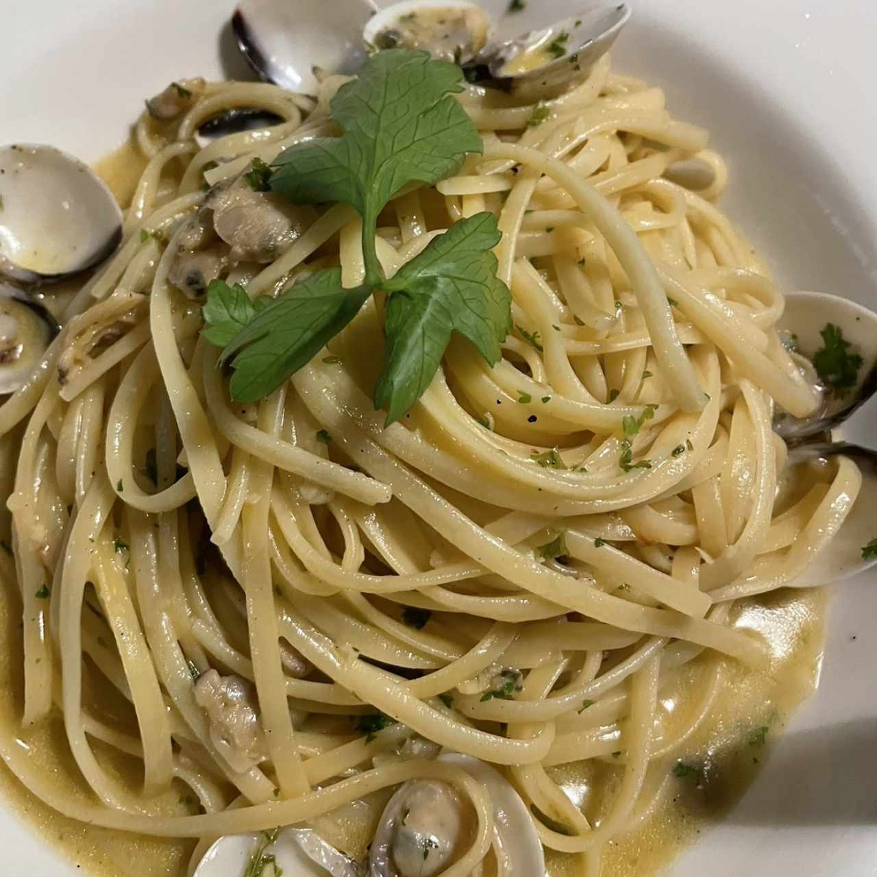 Pastas - Linguini Vongole