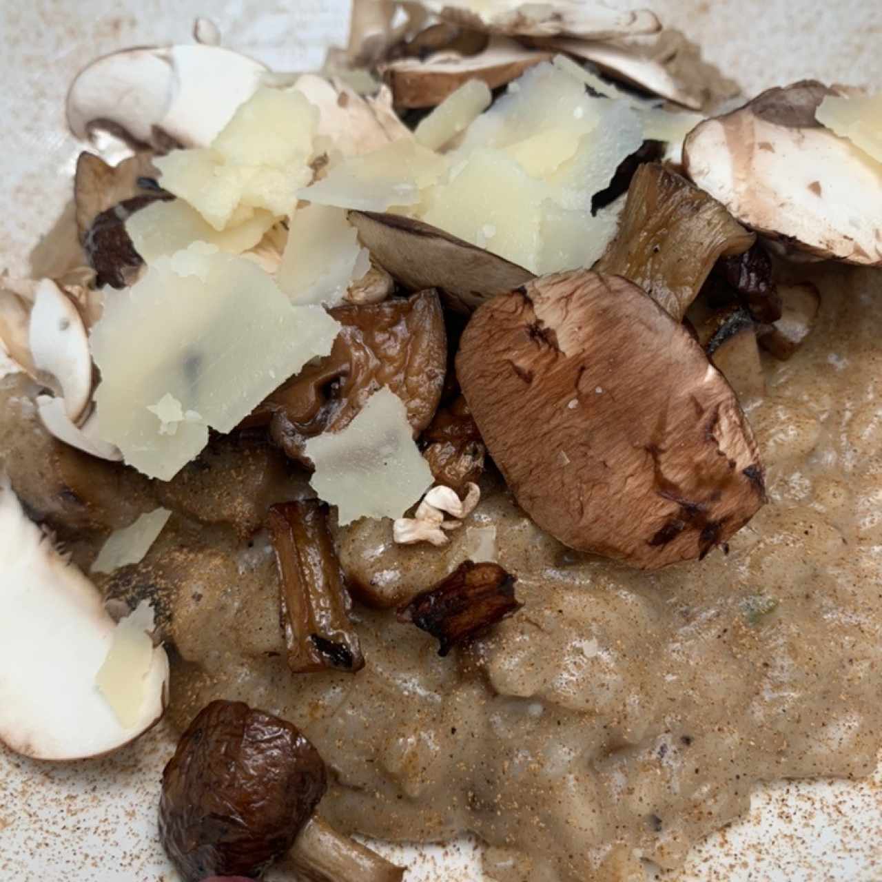 Risottos - Risotto Funghi