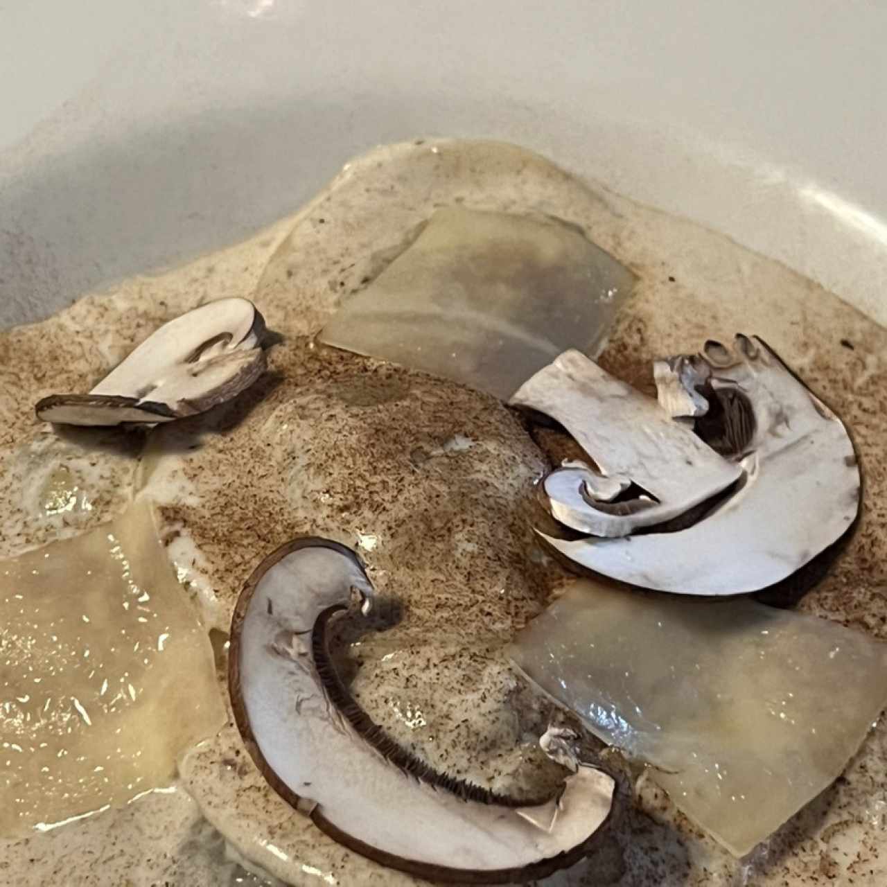 Pastas - Tortelloni Funghi Porcini
