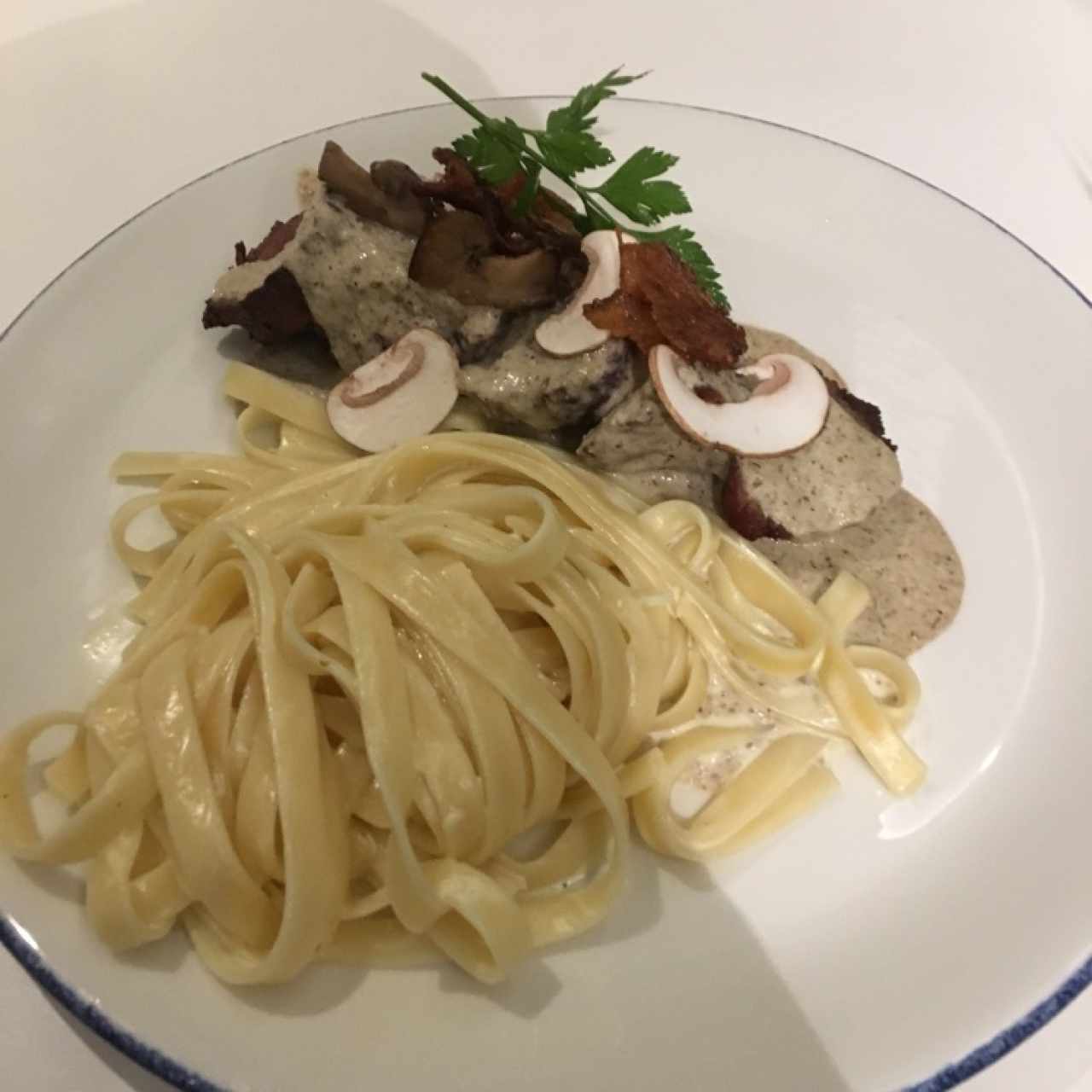 fetuccini en salsa blanca con filete mignon 