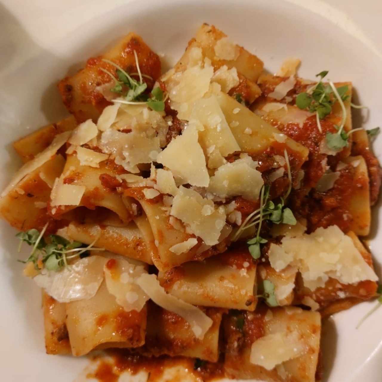 Pastas - Paccheri Alla Bolognesa