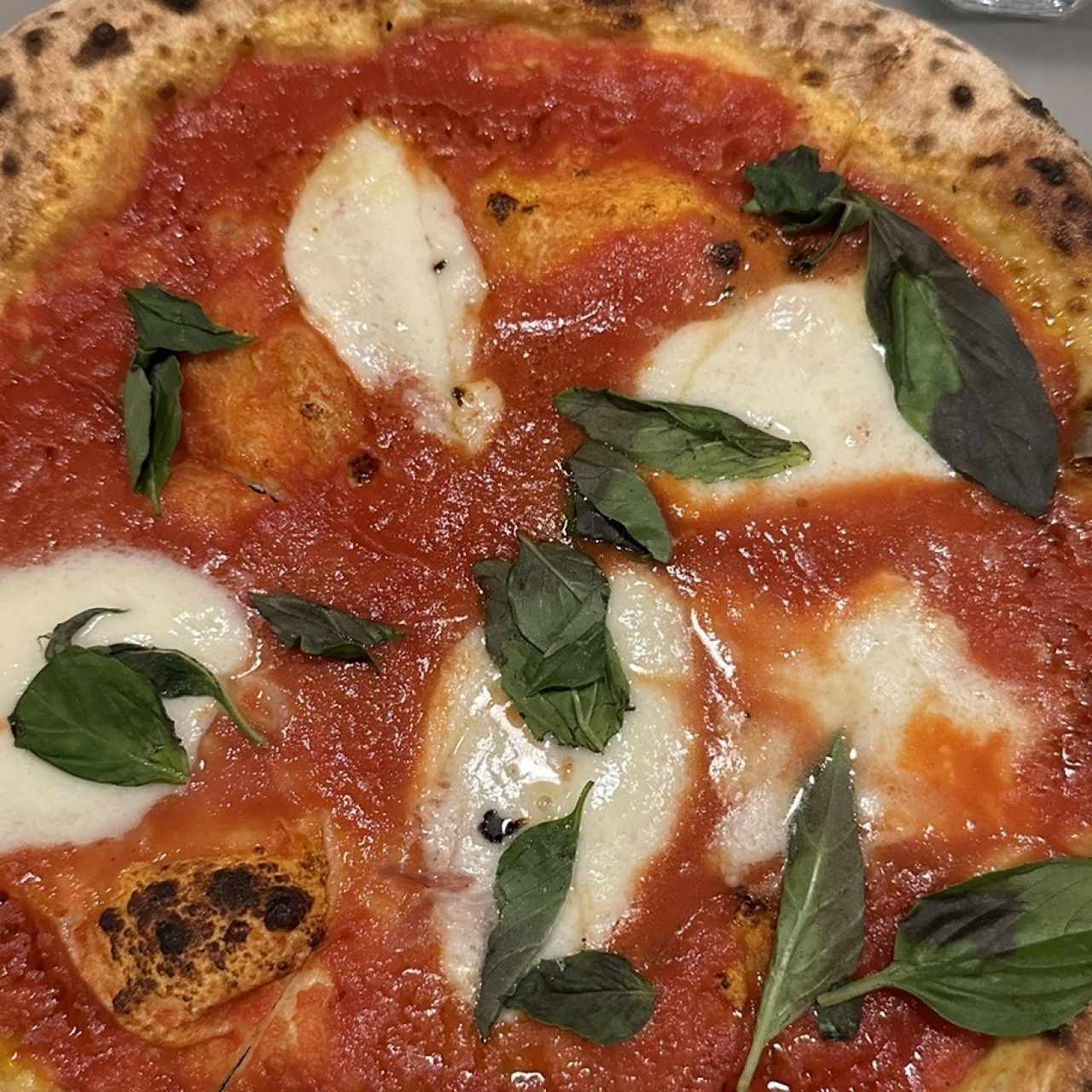 Piezas Tradicionales - Pizza Margherita Napolitana