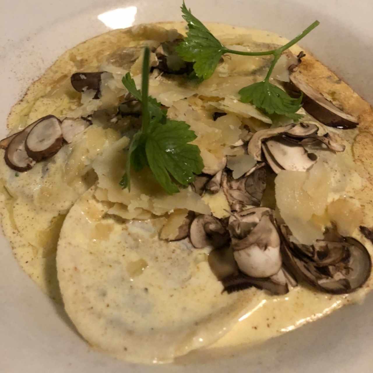 Pastas - Tortelloni Fungui Porcini