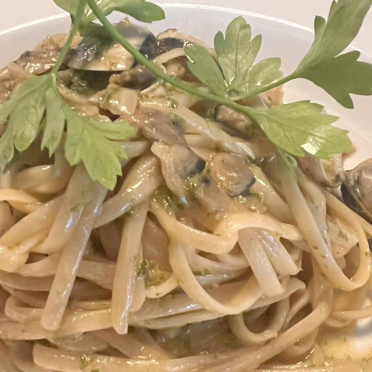 Pastas - Linguini Vongole