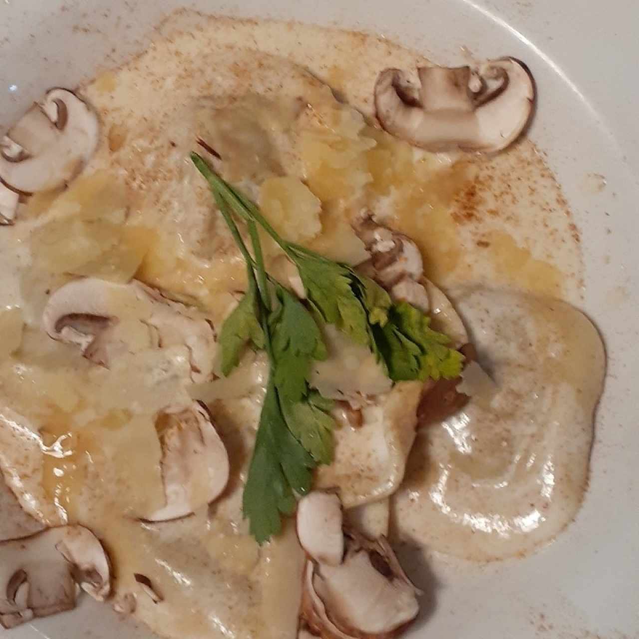 Pastas - Tortelloni Fungui Porcini