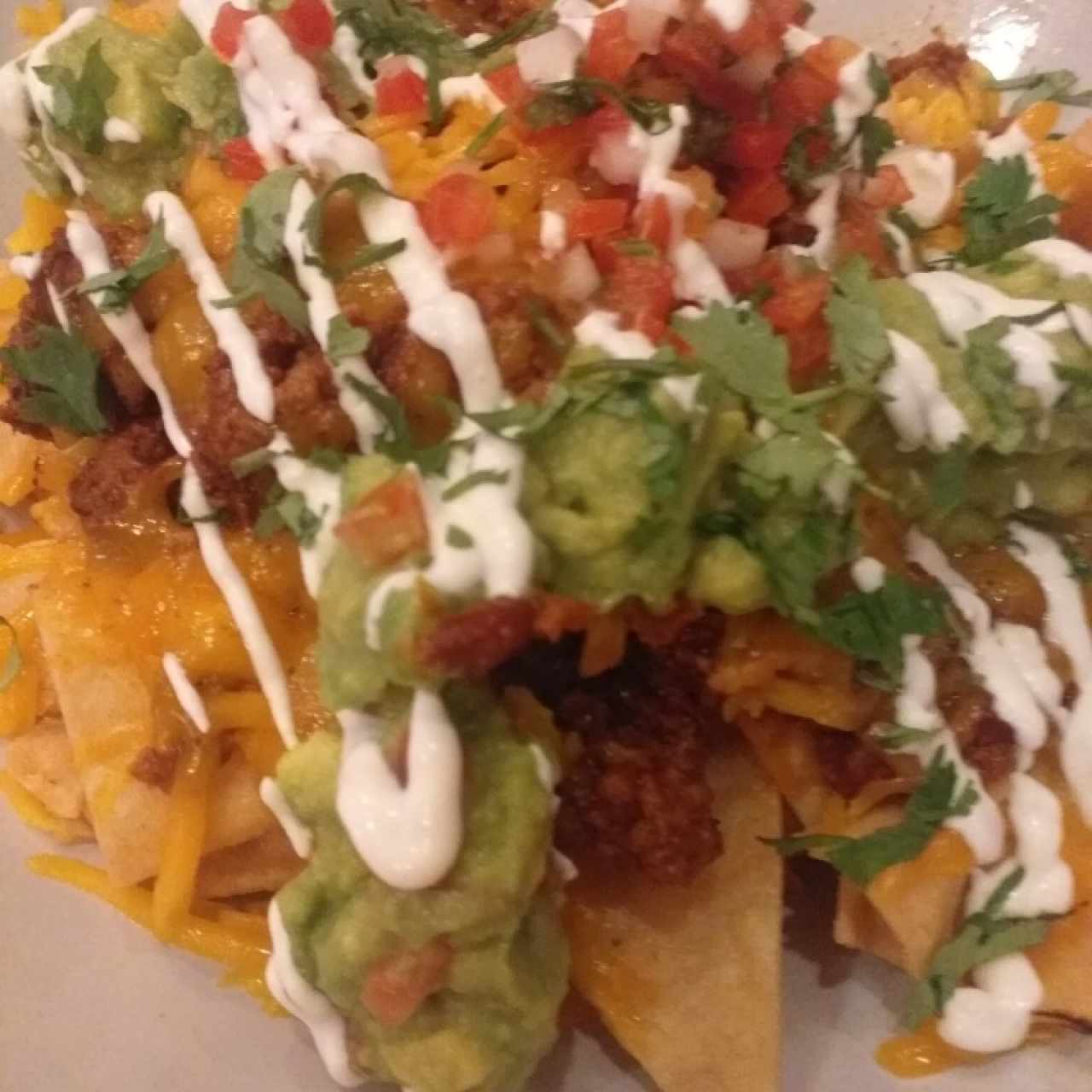 Nachos con carne