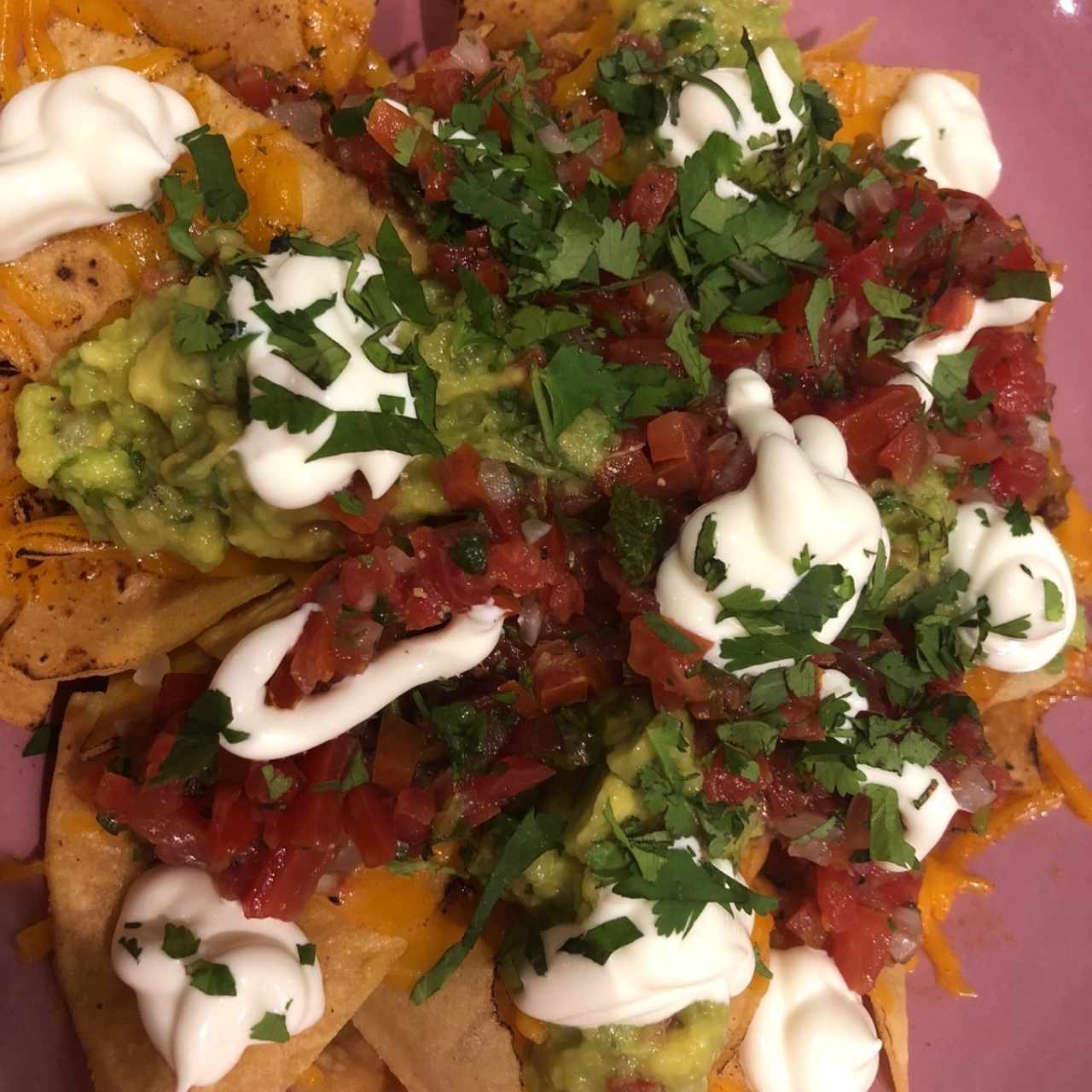 nachos renacho 