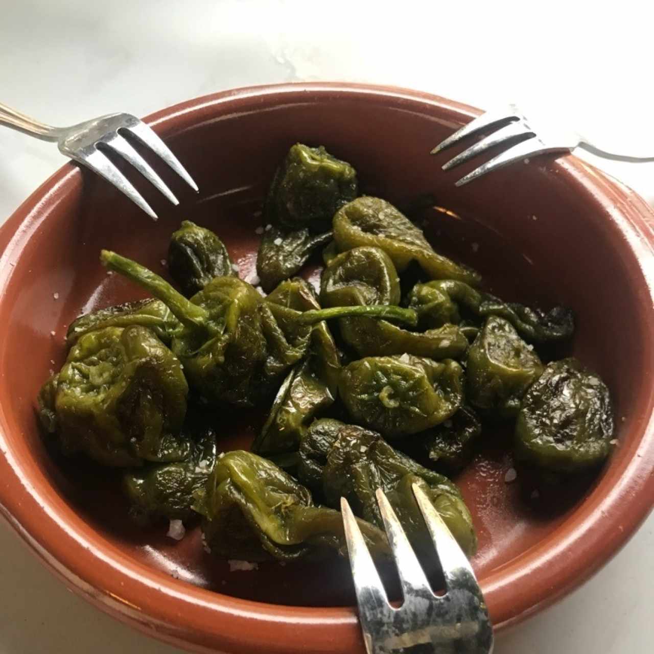 Pimientos Padron