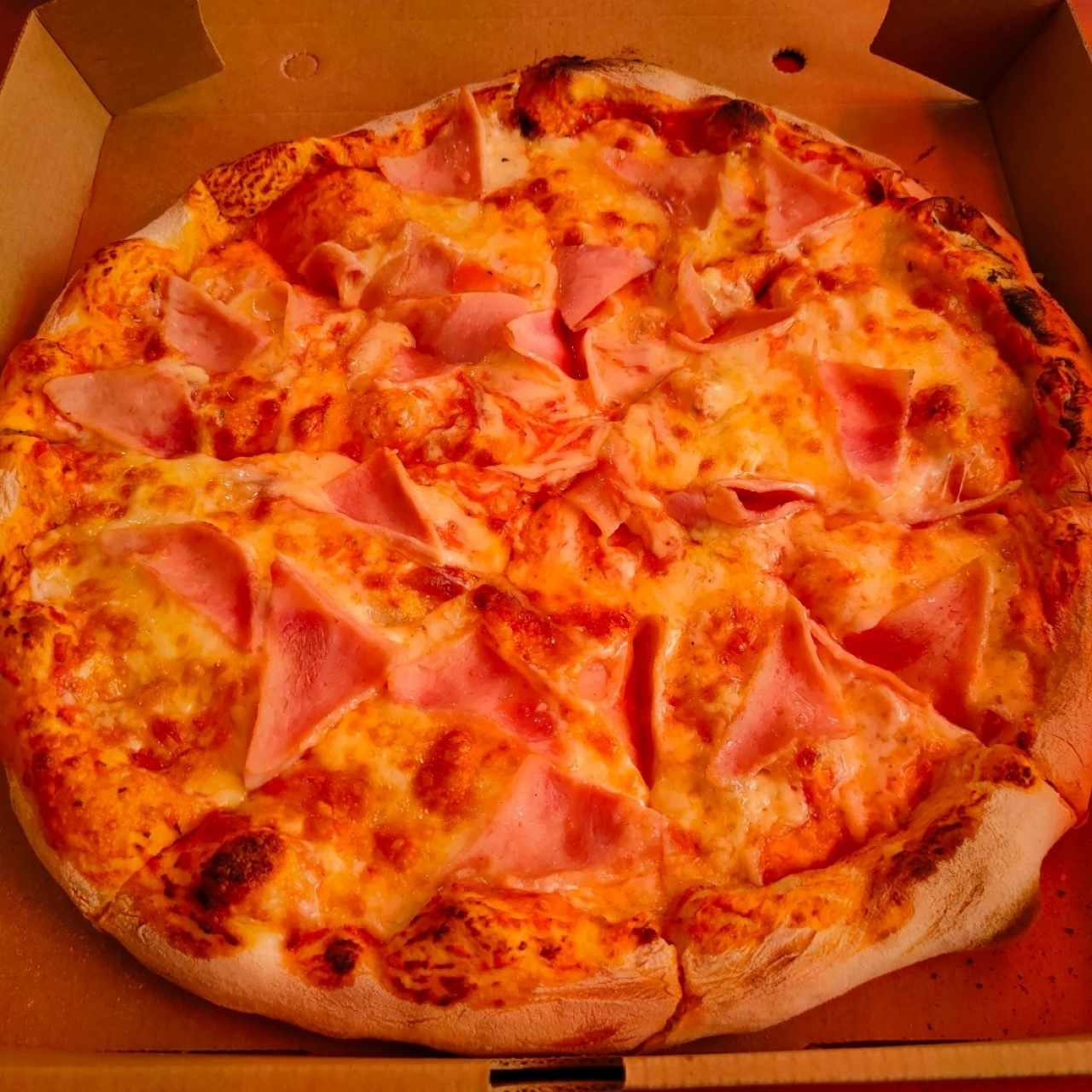 Pizza de jamón 