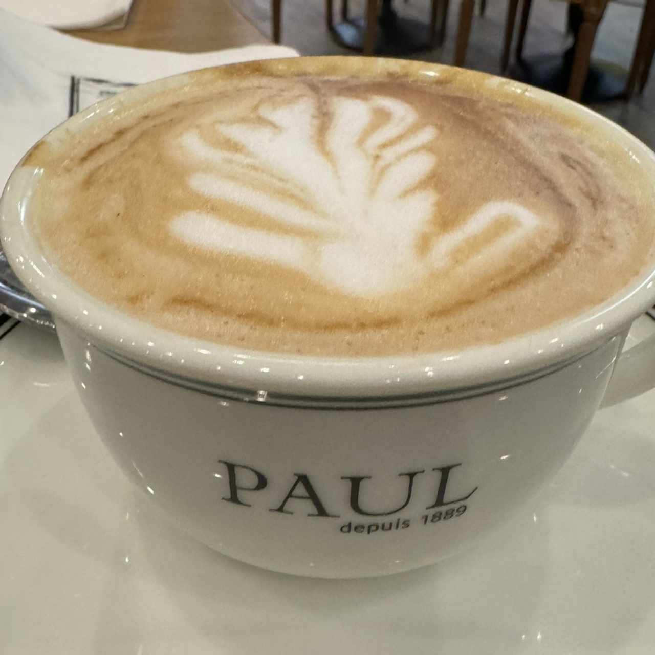 Capuccino 