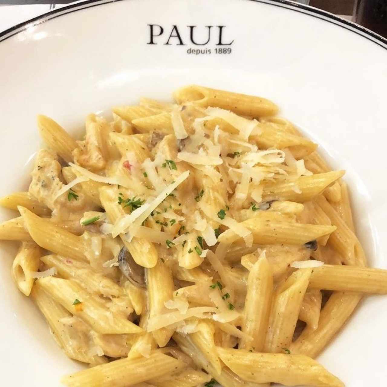 pasta alfredo + pollo