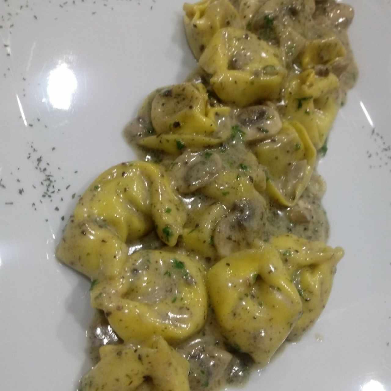 Tortellini fe hongo porcini