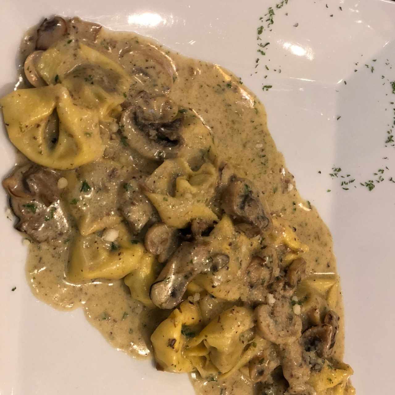 Tortellini ai Funghi Porcini