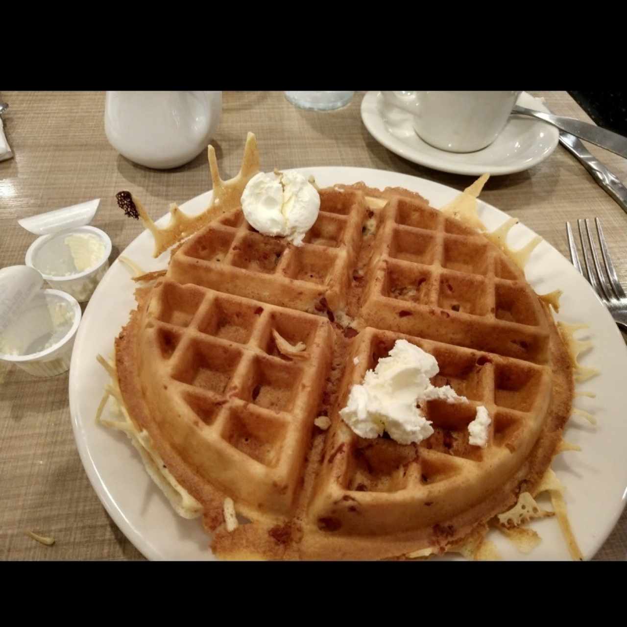 Waffles sencillos