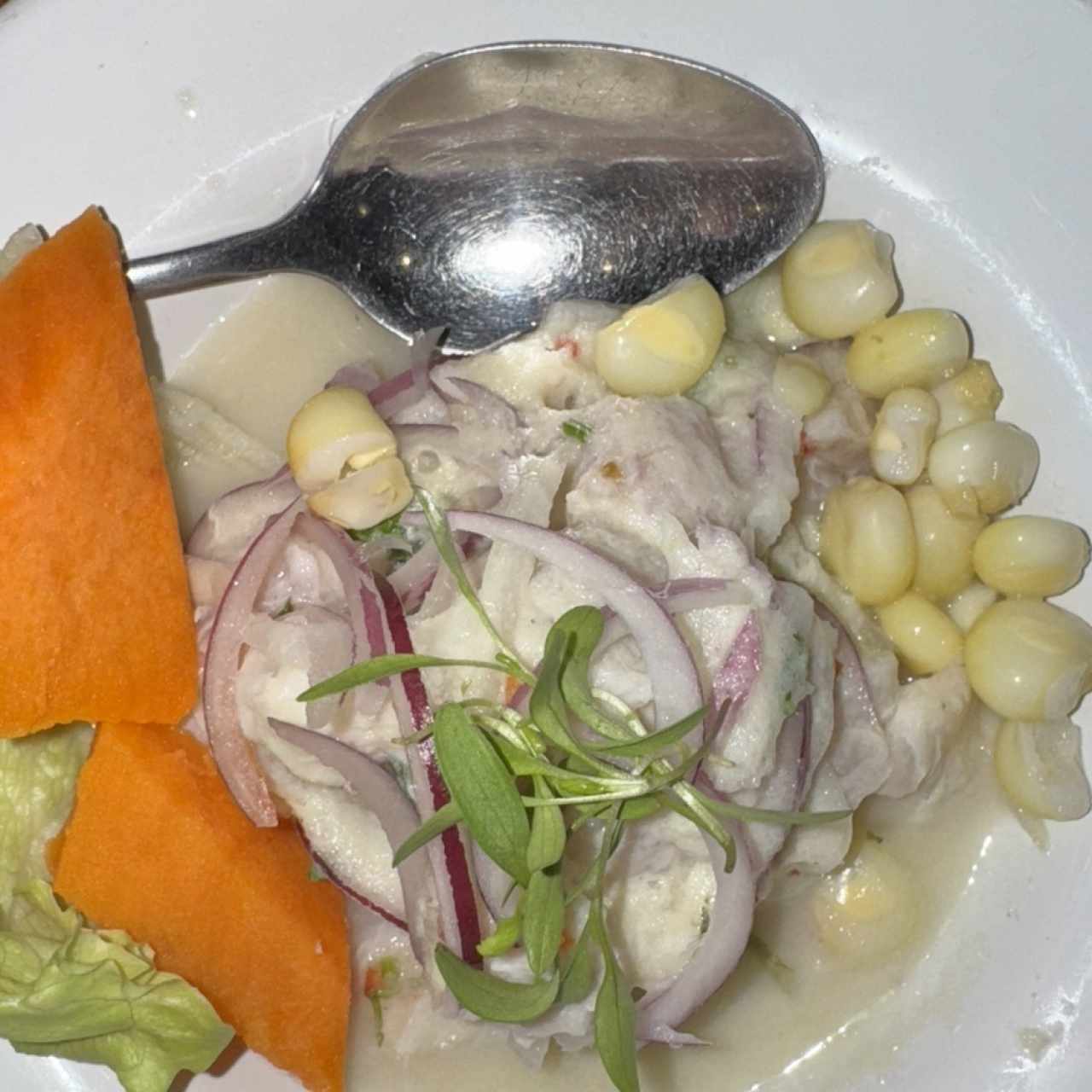 Ceviche de Corvina Tradicional