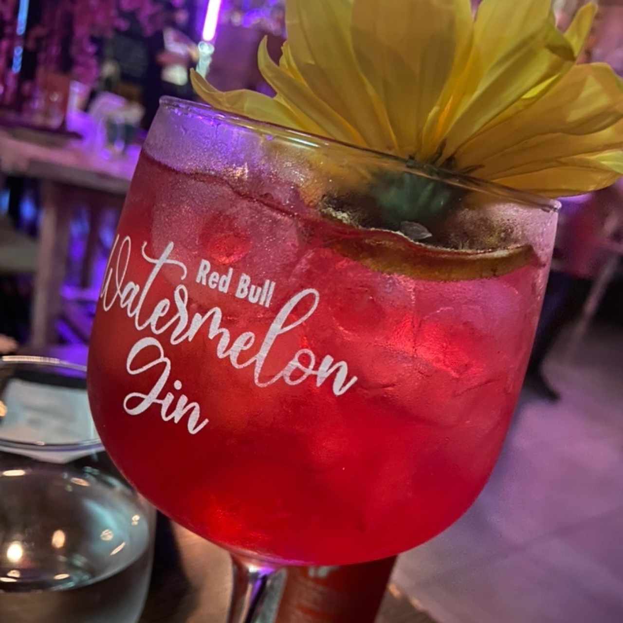 Watermelon Gin