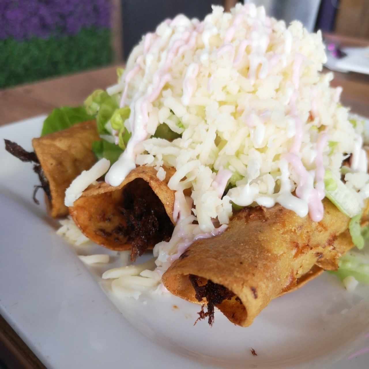 tacos dorados