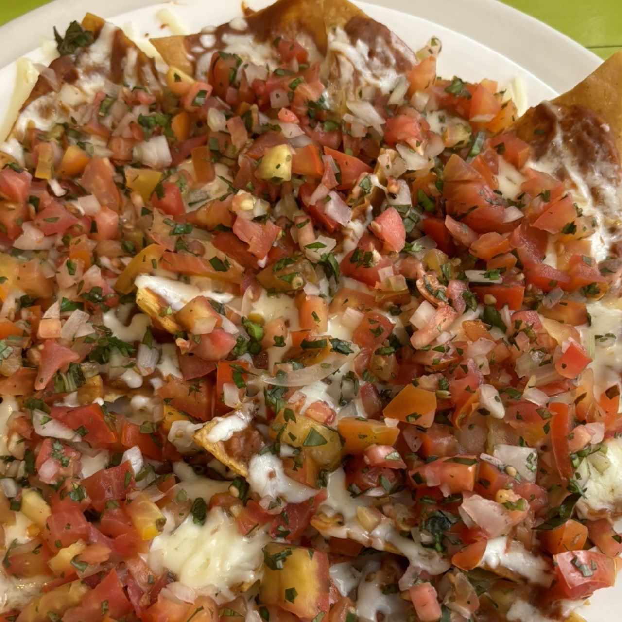 Nachos - Nacho Especial Vegetariano