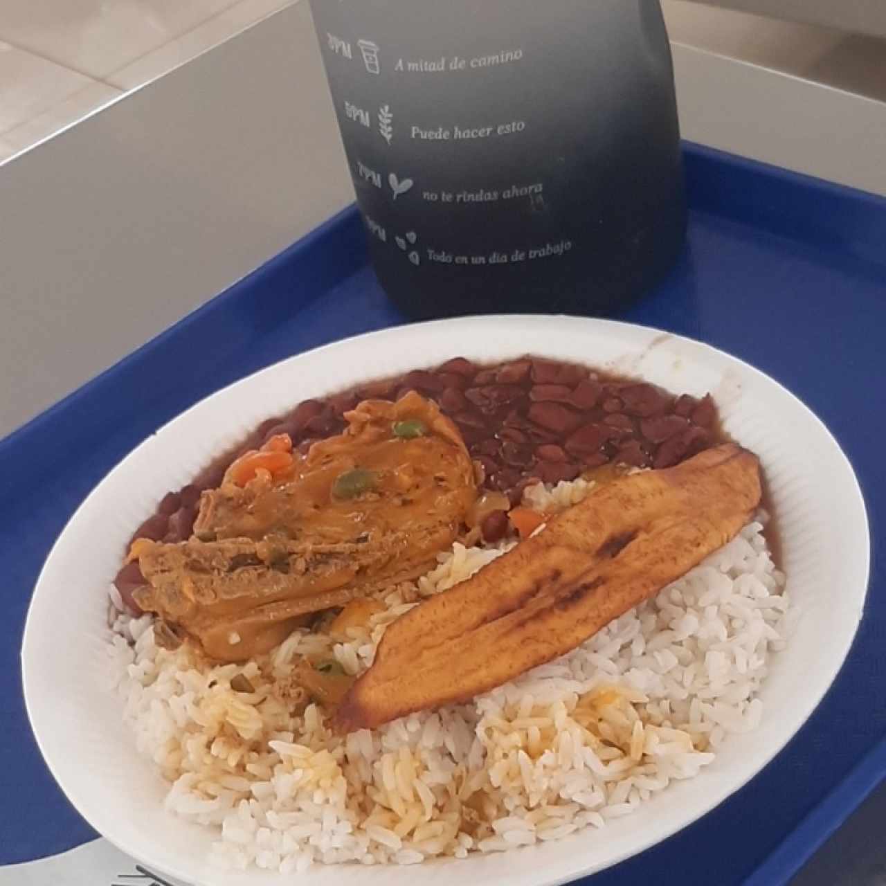 comida con pollo guisado 