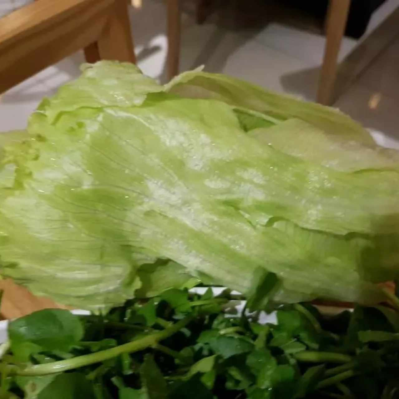 Vegetales - Lechuga