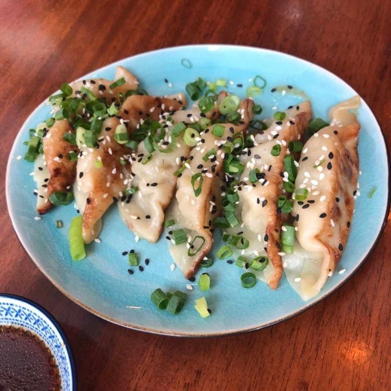 PARA PICAR - GYOZAS (6 unidades)