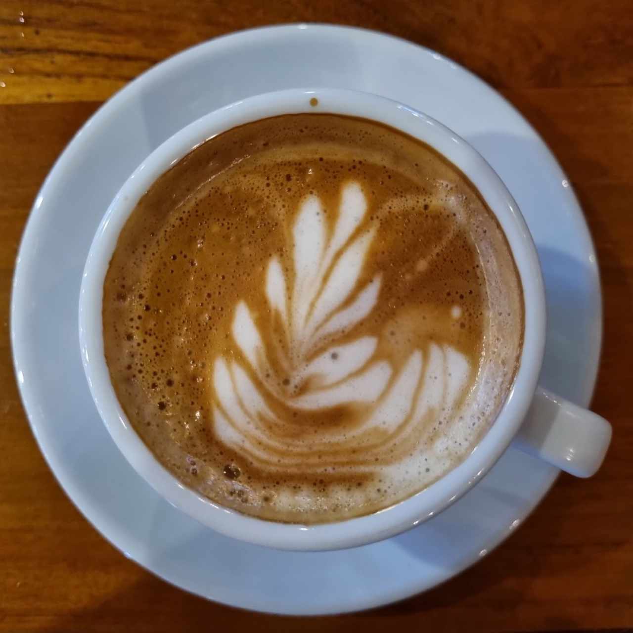 Cafe capuchino con leche de soya.
Una alternativa deliciosa y vegana para los que no consumen leche animal.