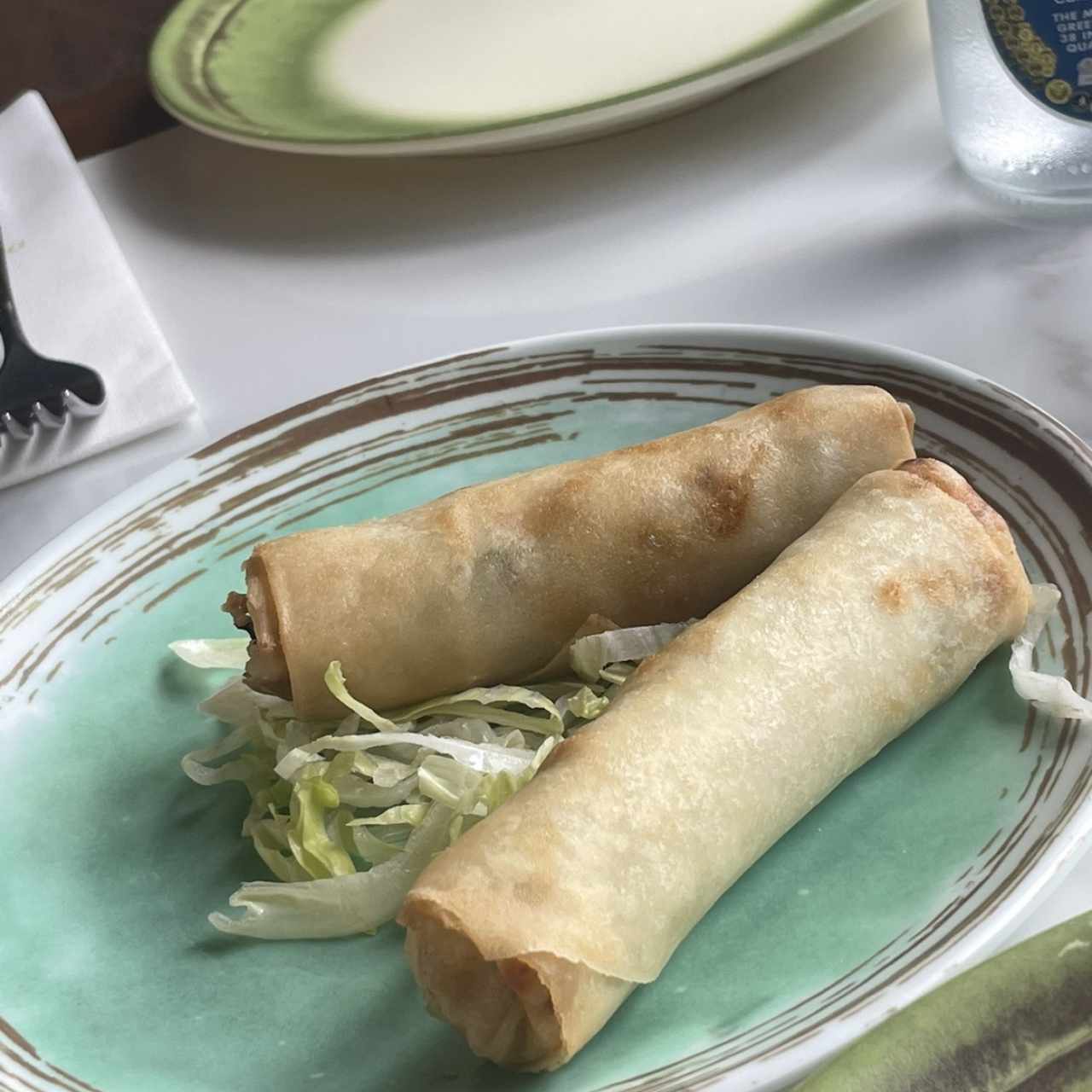 Dim Sum - Rollo de Primavera