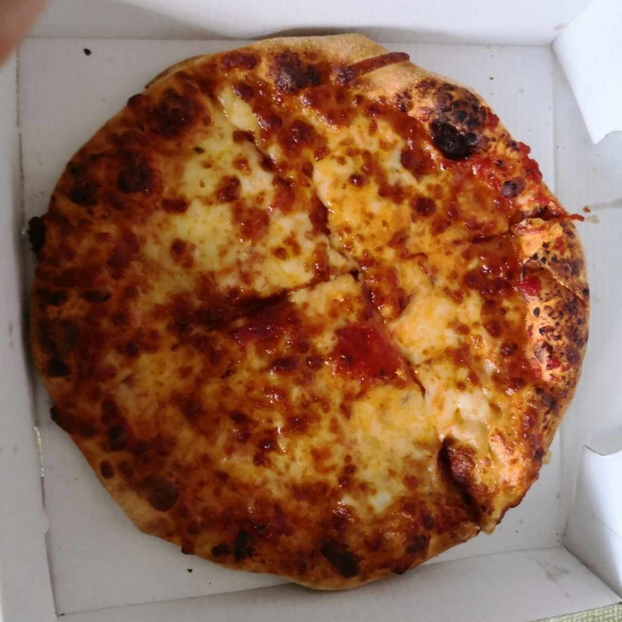 Pizzas - Pizza con Mozzarella