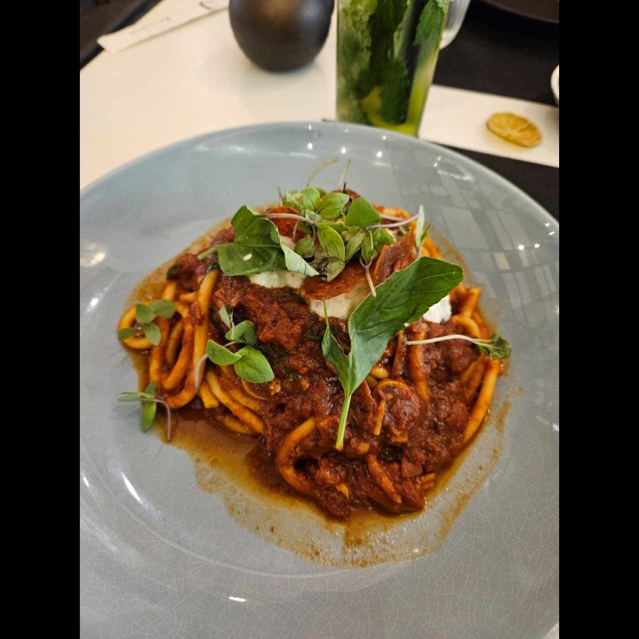AMERICAN AMATRICIANA
