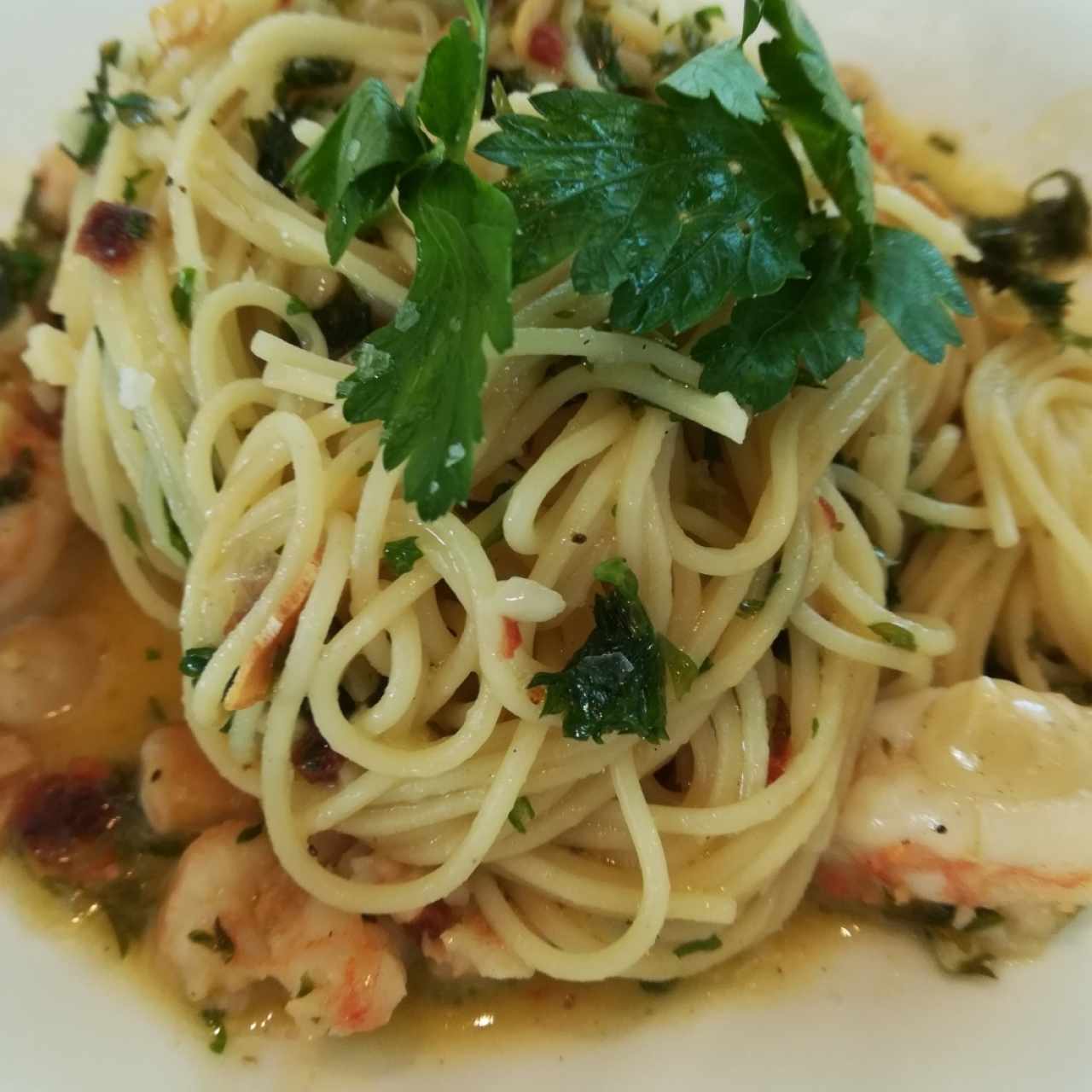 Pasta al oleo con Camarones