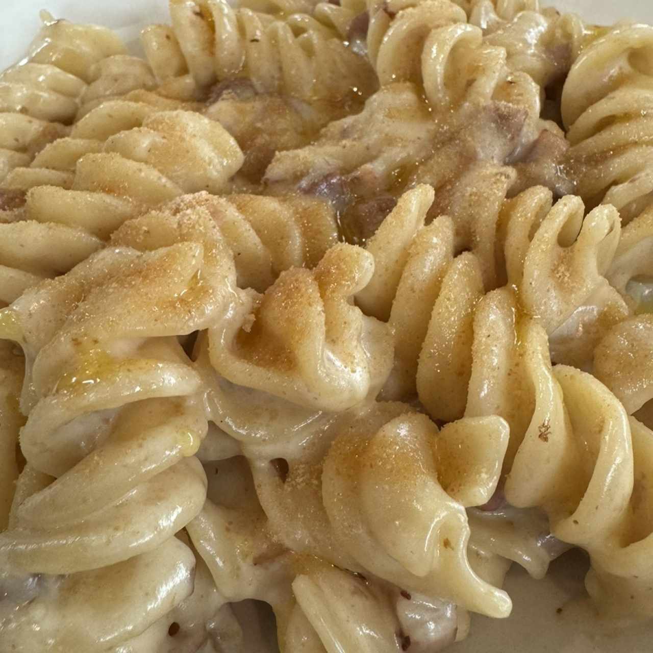 Fusilli Giganti Di Gragnano Al Parmigiano Trufado