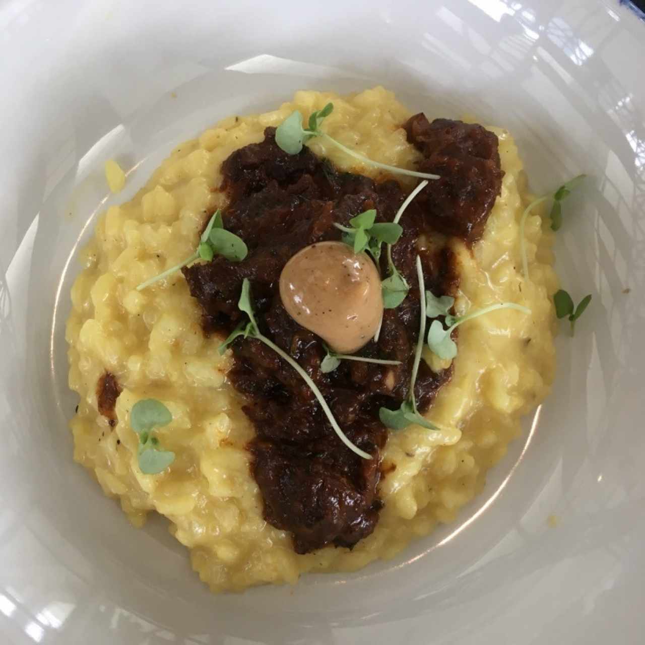 Risotto de Osobuco