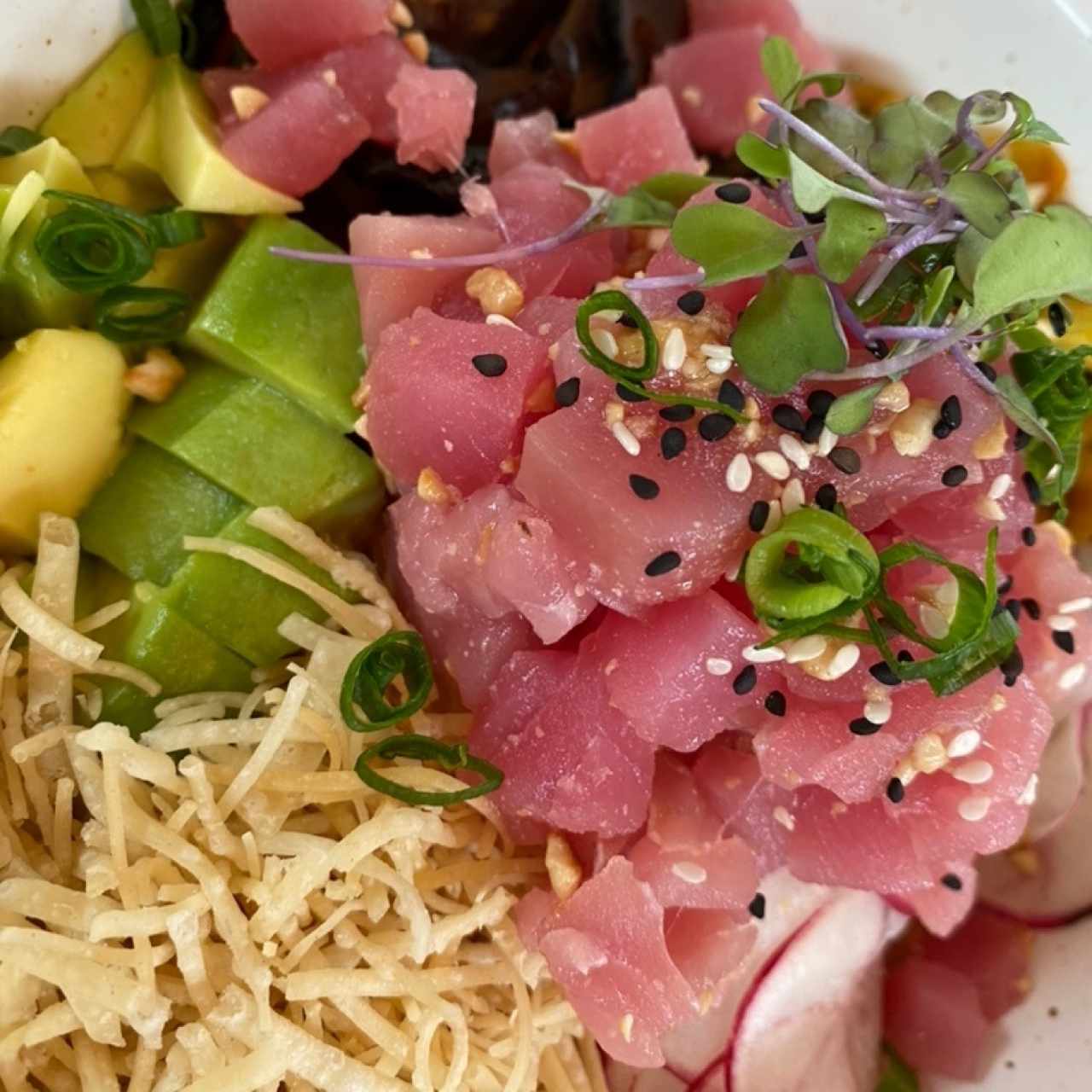 Sushi Bar - Tuna Poke