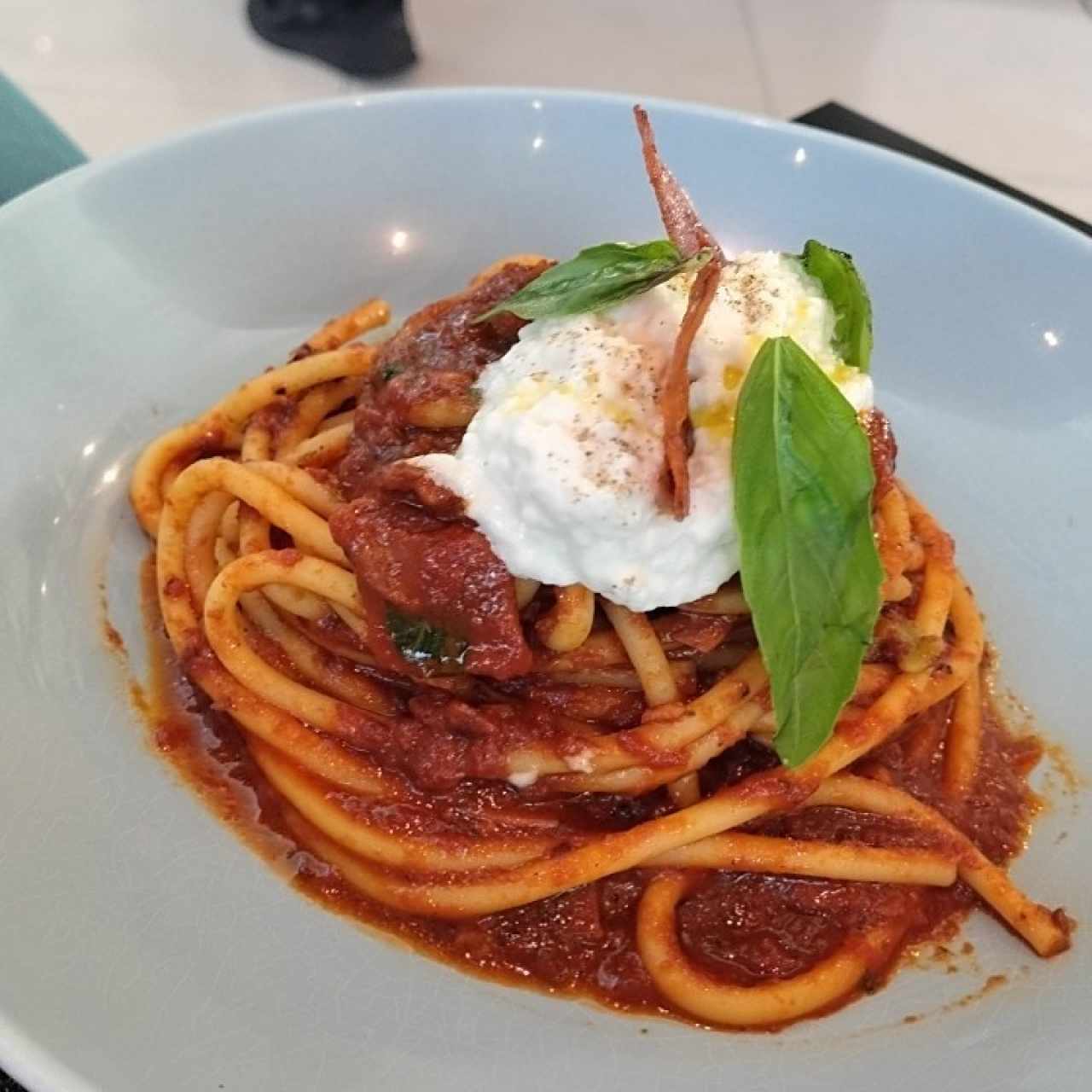 AMERICAN AMATRICIANA