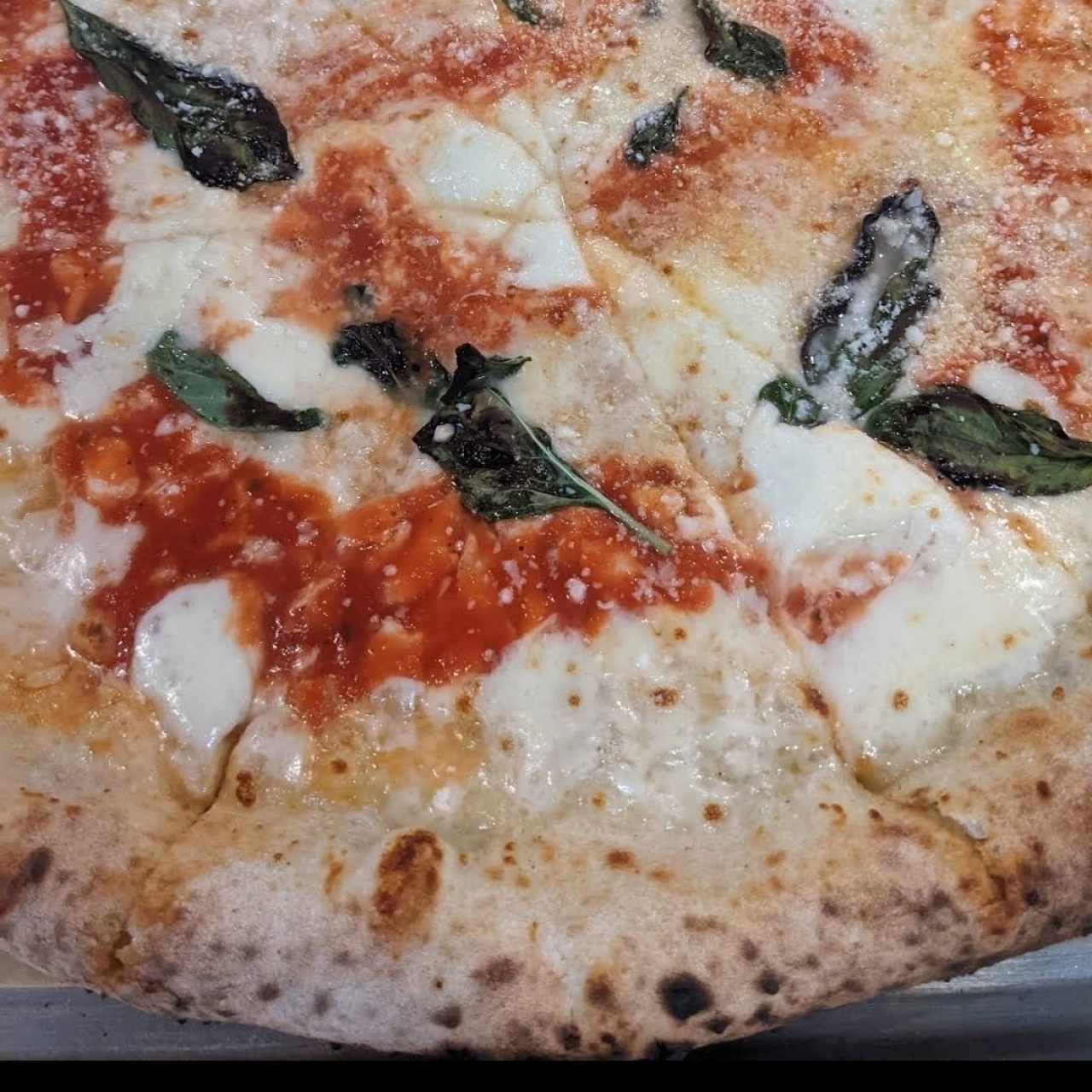 Pizzas - Pizza Margherita