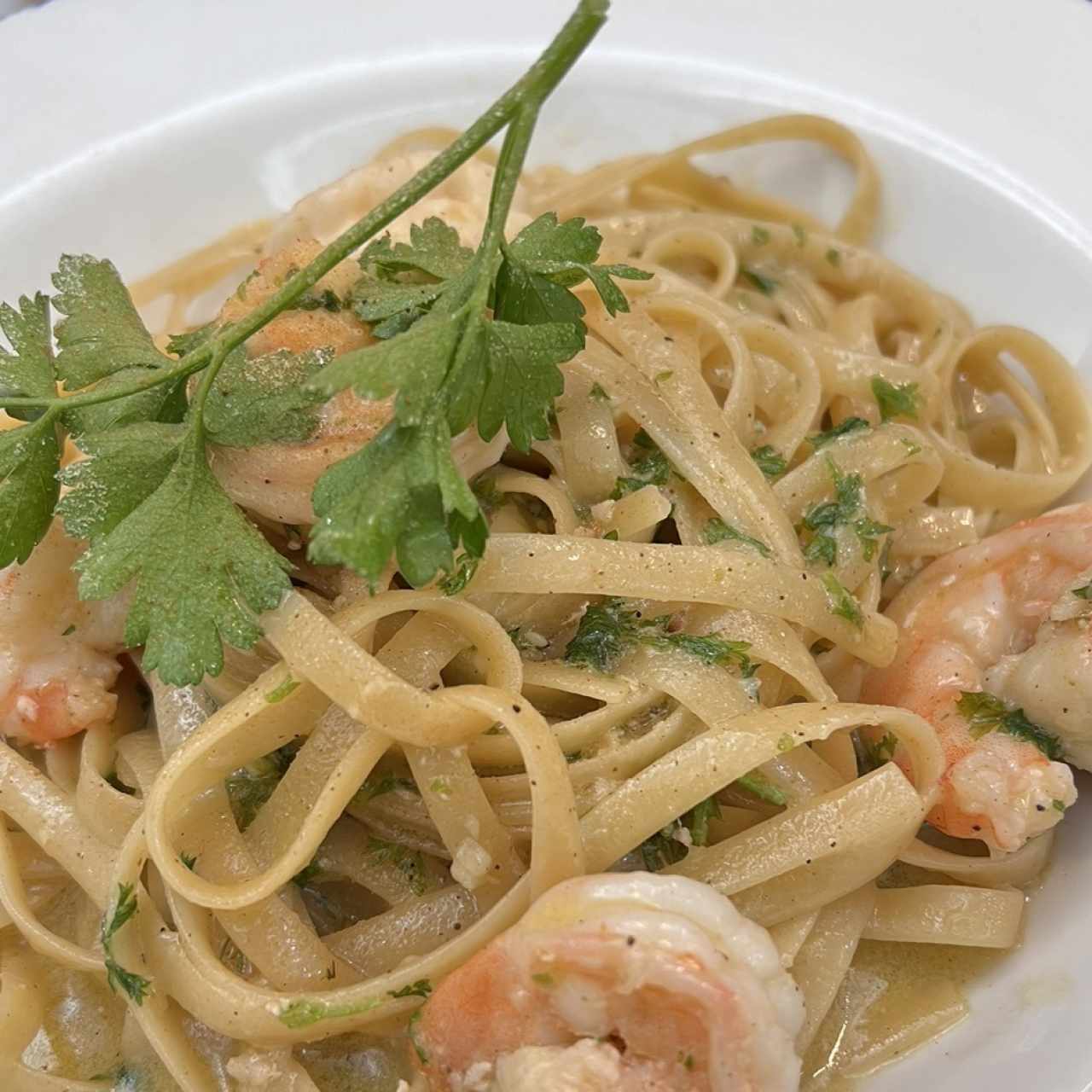 Fetuccini Aglio, Olio E Gamberetti