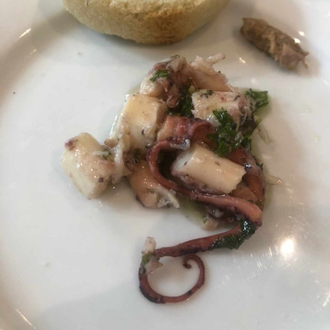 pulpo